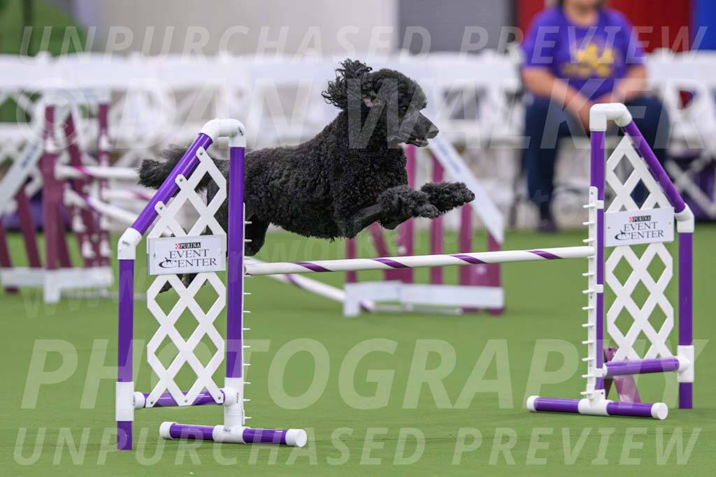 DJW_1328-Enhanced-NR