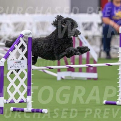 DJW_1328-Enhanced-NR