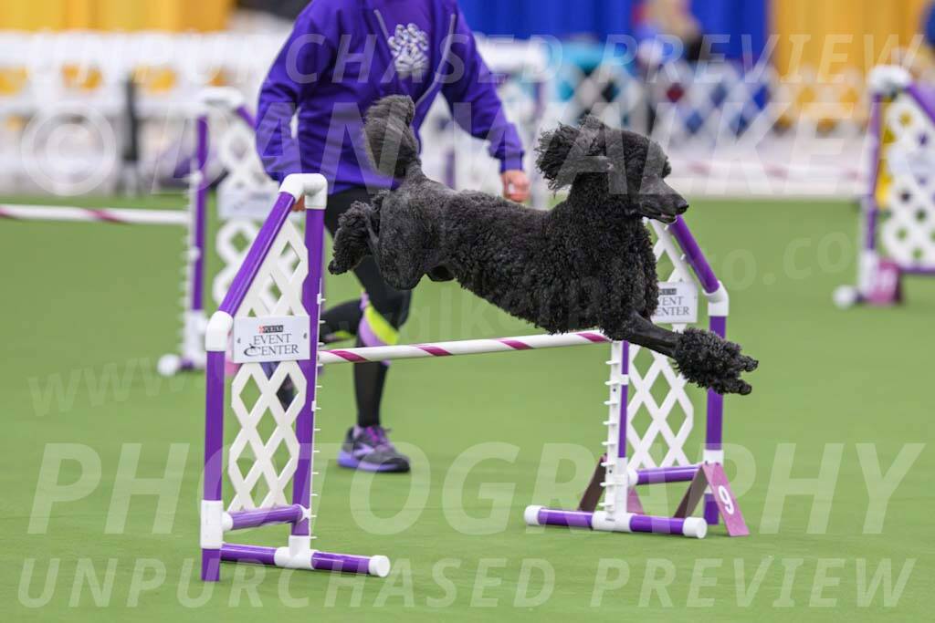 DJW_1333-Enhanced-NR