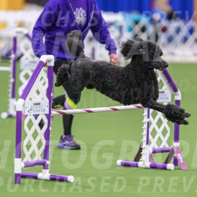 DJW_1333-Enhanced-NR