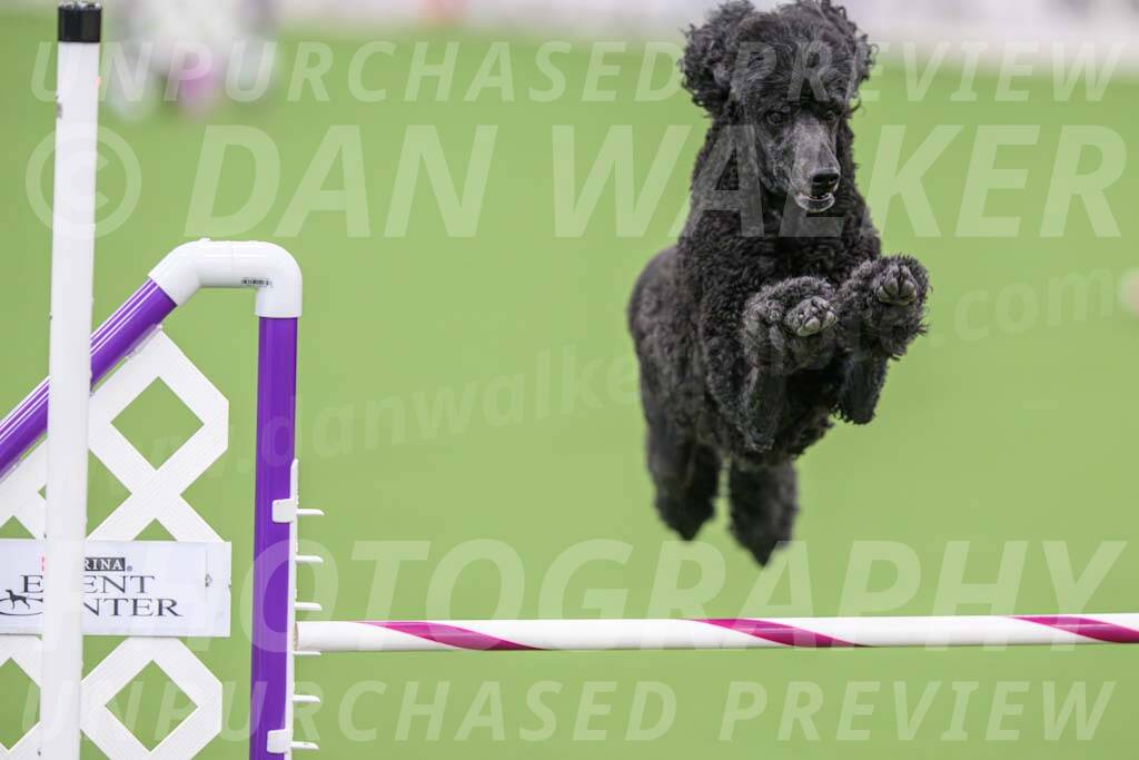 DJW_1351-Enhanced-NR