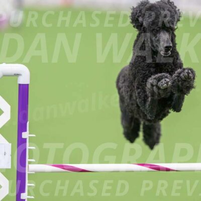 DJW_1351-Enhanced-NR