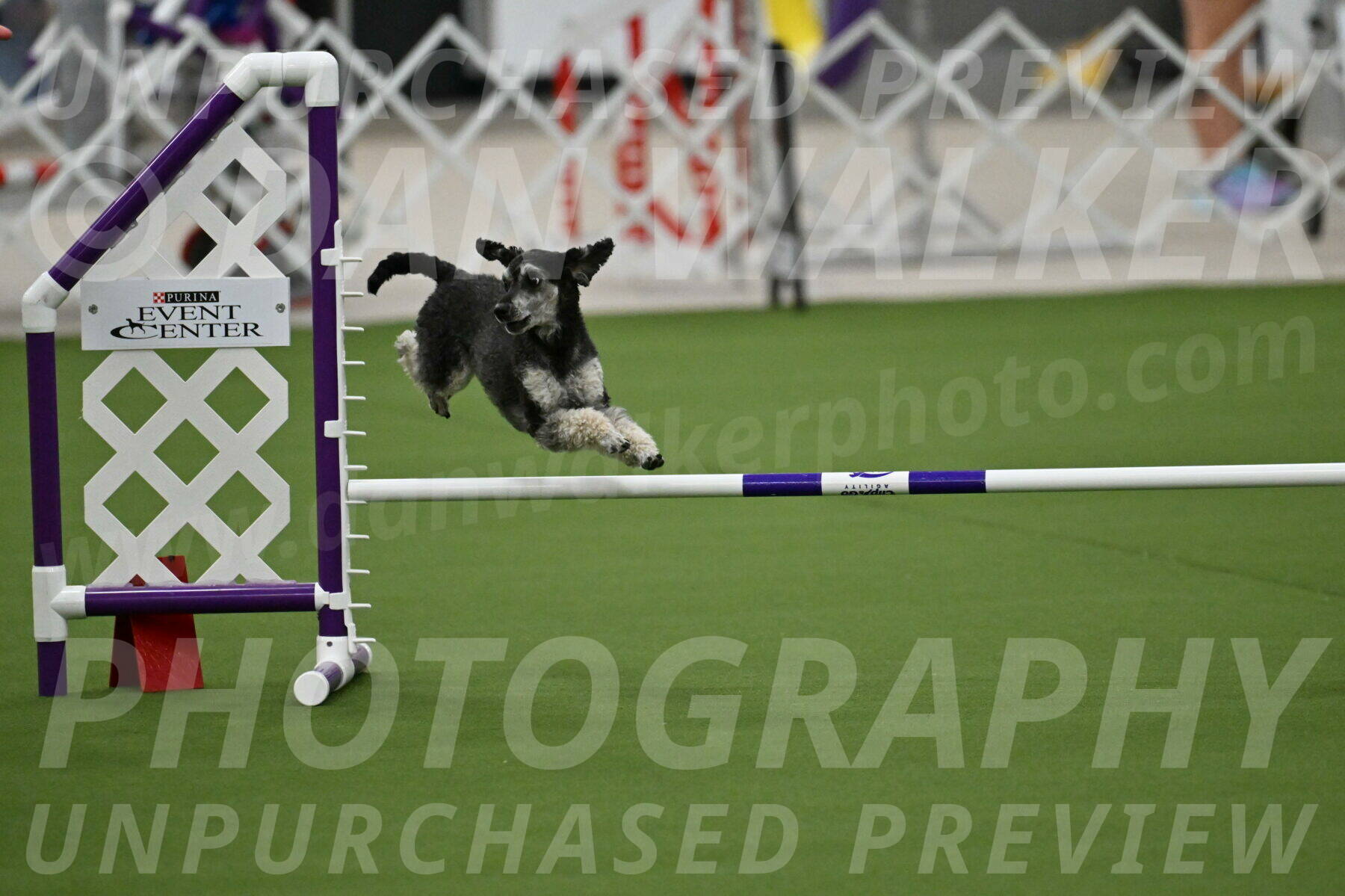 MAS-EX-JWW-12-Inch_0851