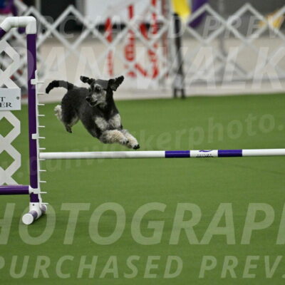 MAS-EX-JWW-12-Inch_0851