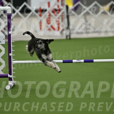 MAS-EX-JWW-12-Inch_0852