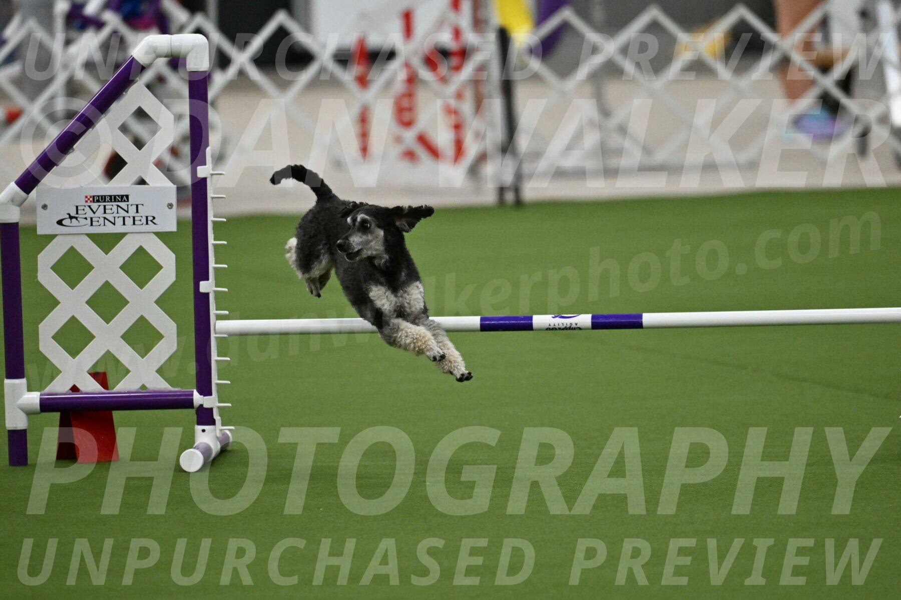 MAS-EX-JWW-12-Inch_0852