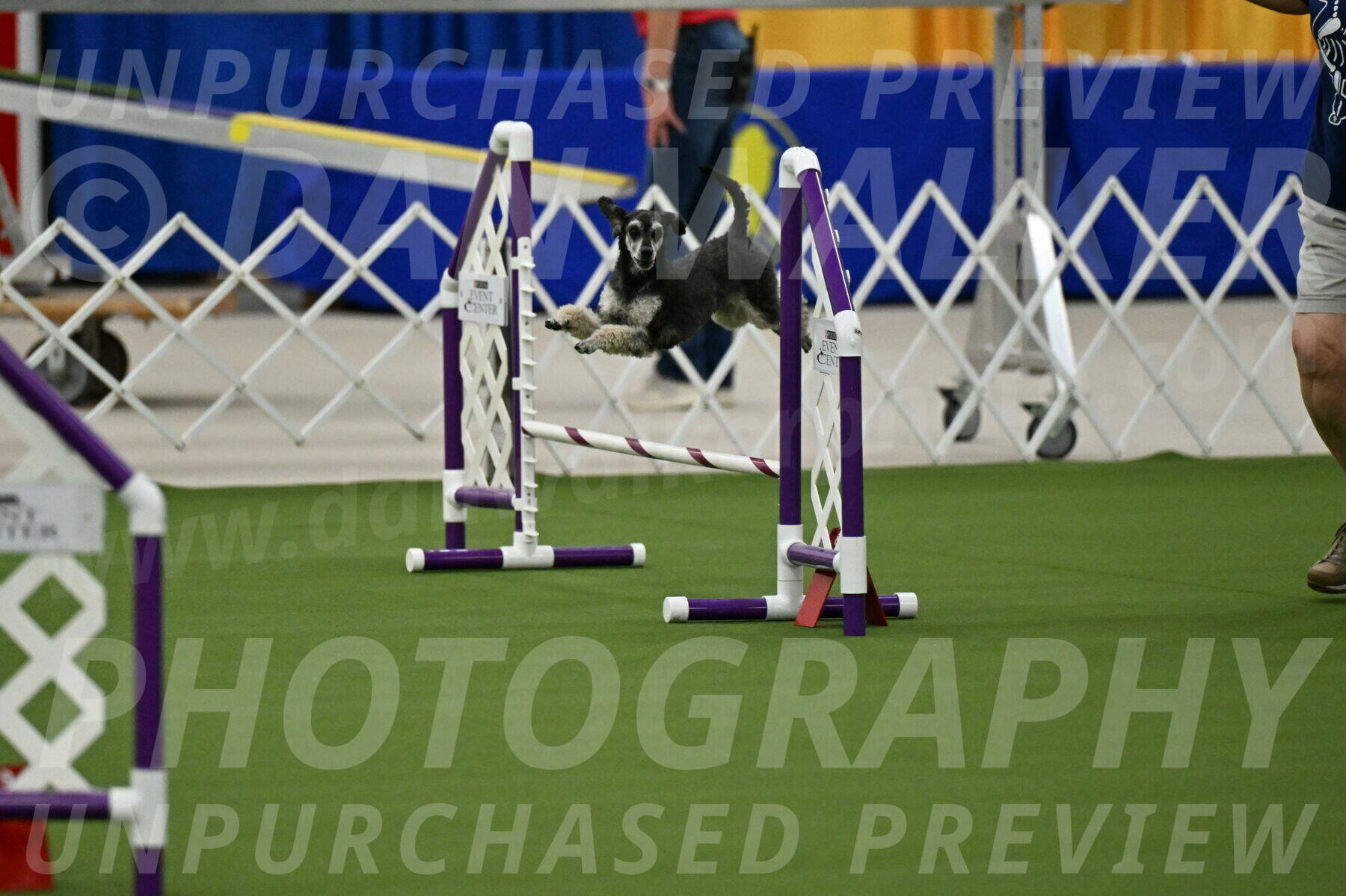 MAS-EX-JWW-12-Inch_0859