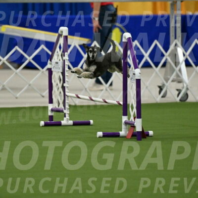 MAS-EX-JWW-12-Inch_0859