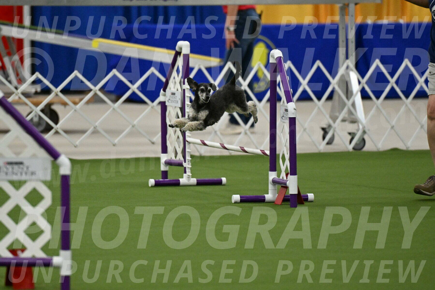 MAS-EX-JWW-12-Inch_0860