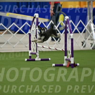 MAS-EX-JWW-12-Inch_0860