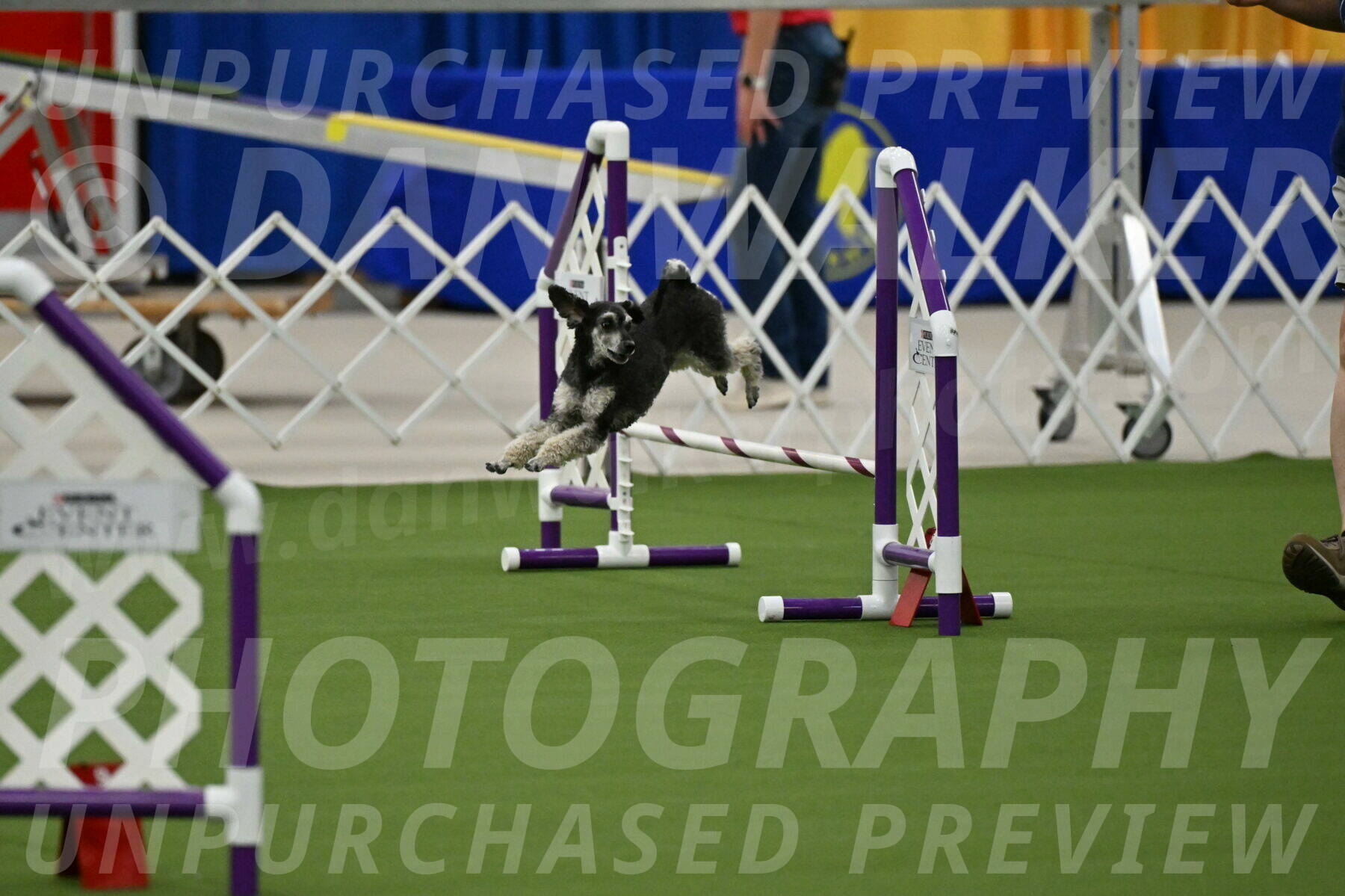 MAS-EX-JWW-12-Inch_0861