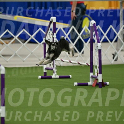 MAS-EX-JWW-12-Inch_0861