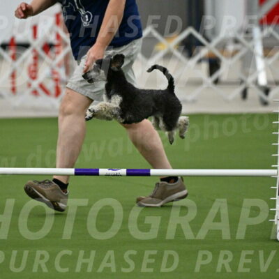 MAS-EX-JWW-12-Inch_0862