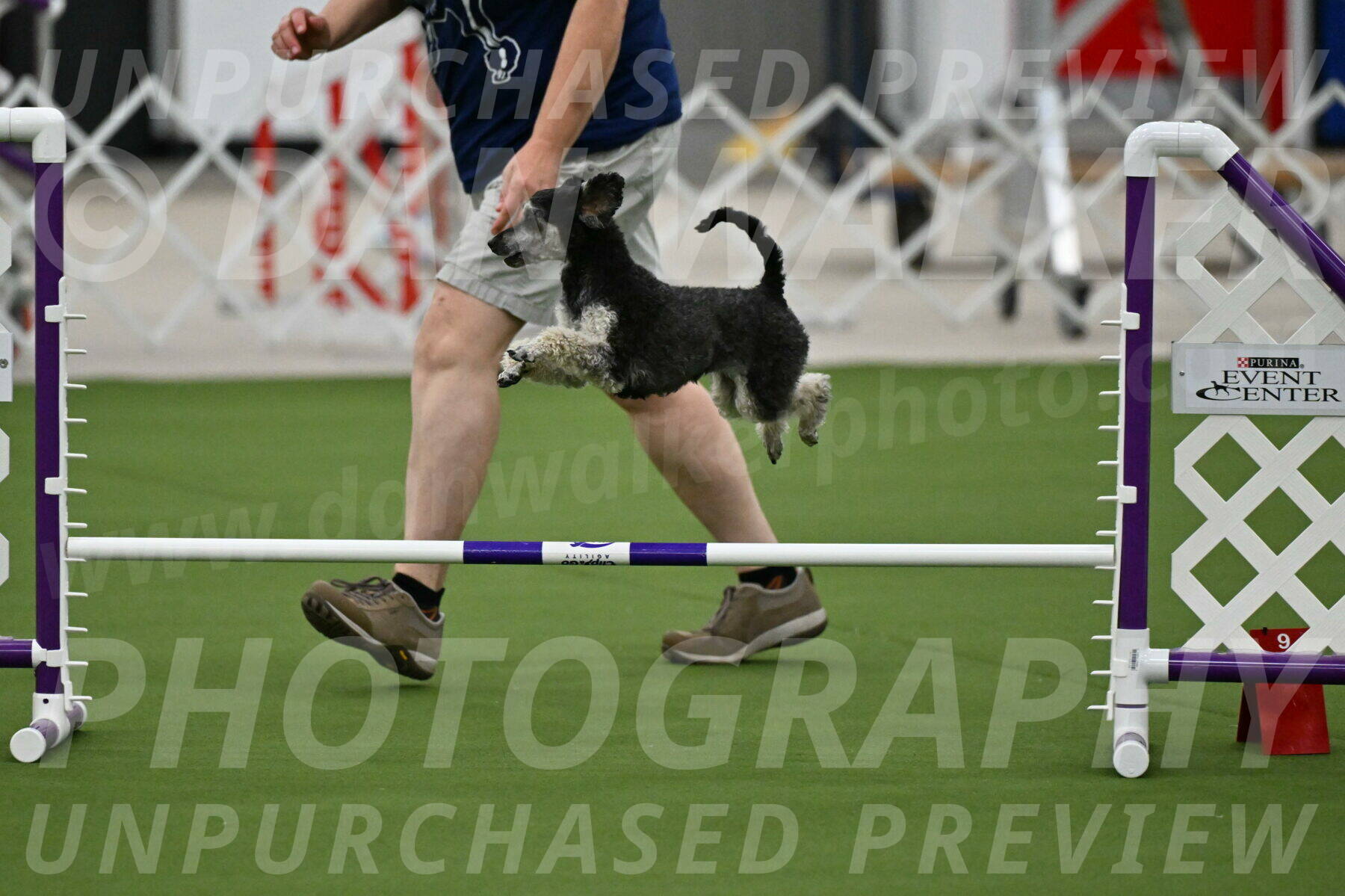 MAS-EX-JWW-12-Inch_0862