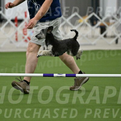 MAS-EX-JWW-12-Inch_0863