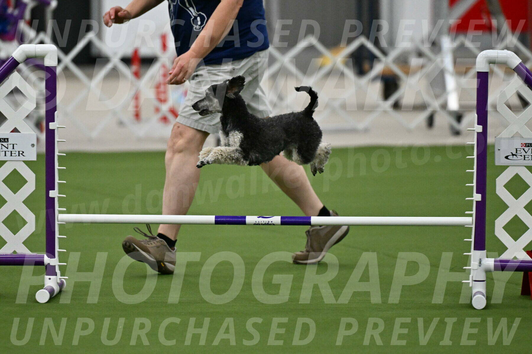 MAS-EX-JWW-12-Inch_0863