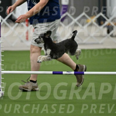 MAS-EX-JWW-12-Inch_0864