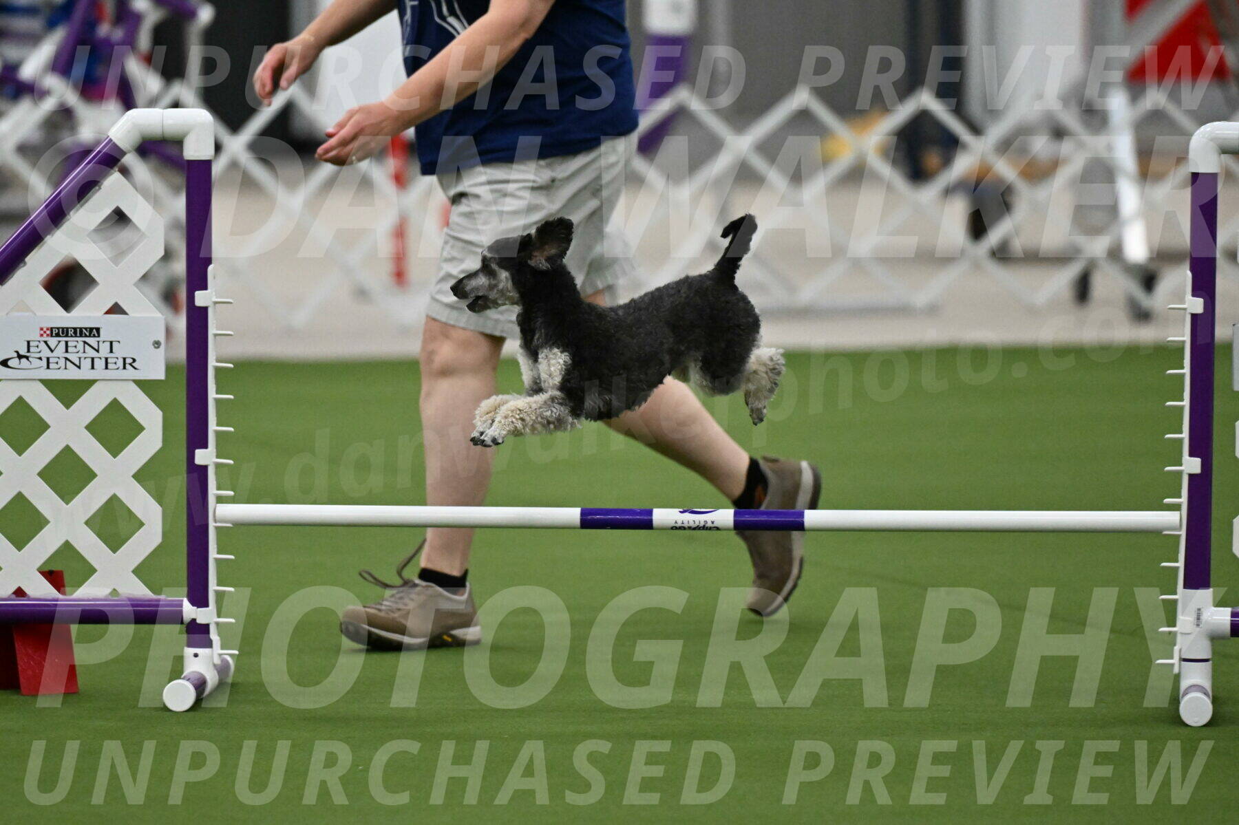 MAS-EX-JWW-12-Inch_0864