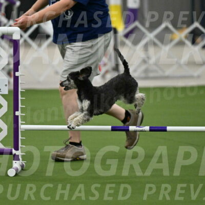 MAS-EX-JWW-12-Inch_0865