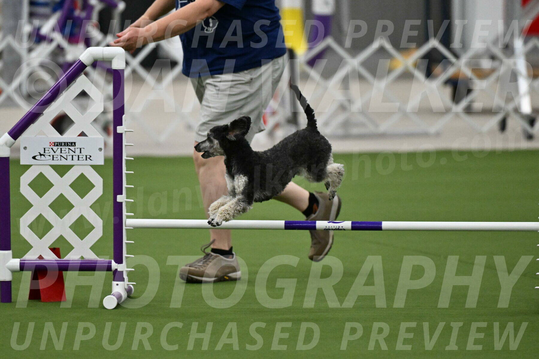 MAS-EX-JWW-12-Inch_0865