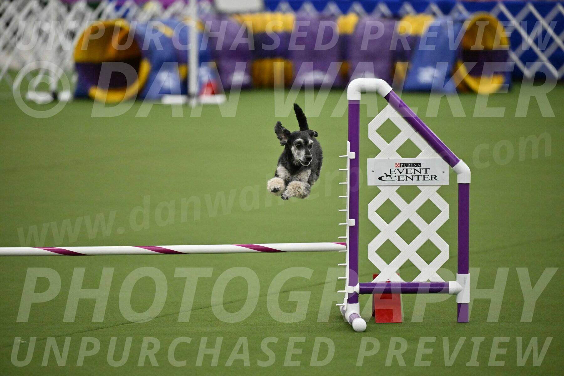 MAS-EX-JWW-12-Inch_0868