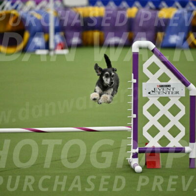 MAS-EX-JWW-12-Inch_0868