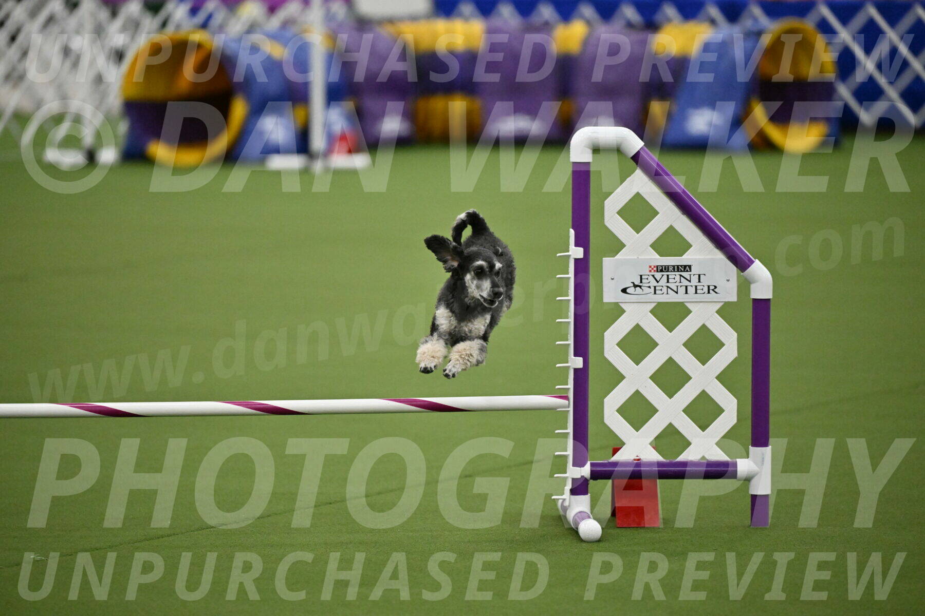 MAS-EX-JWW-12-Inch_0869