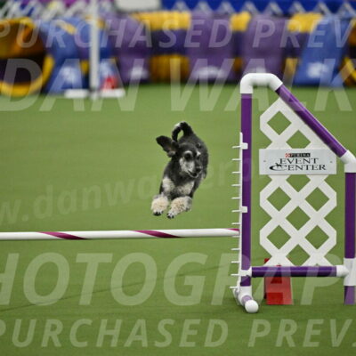 MAS-EX-JWW-12-Inch_0869