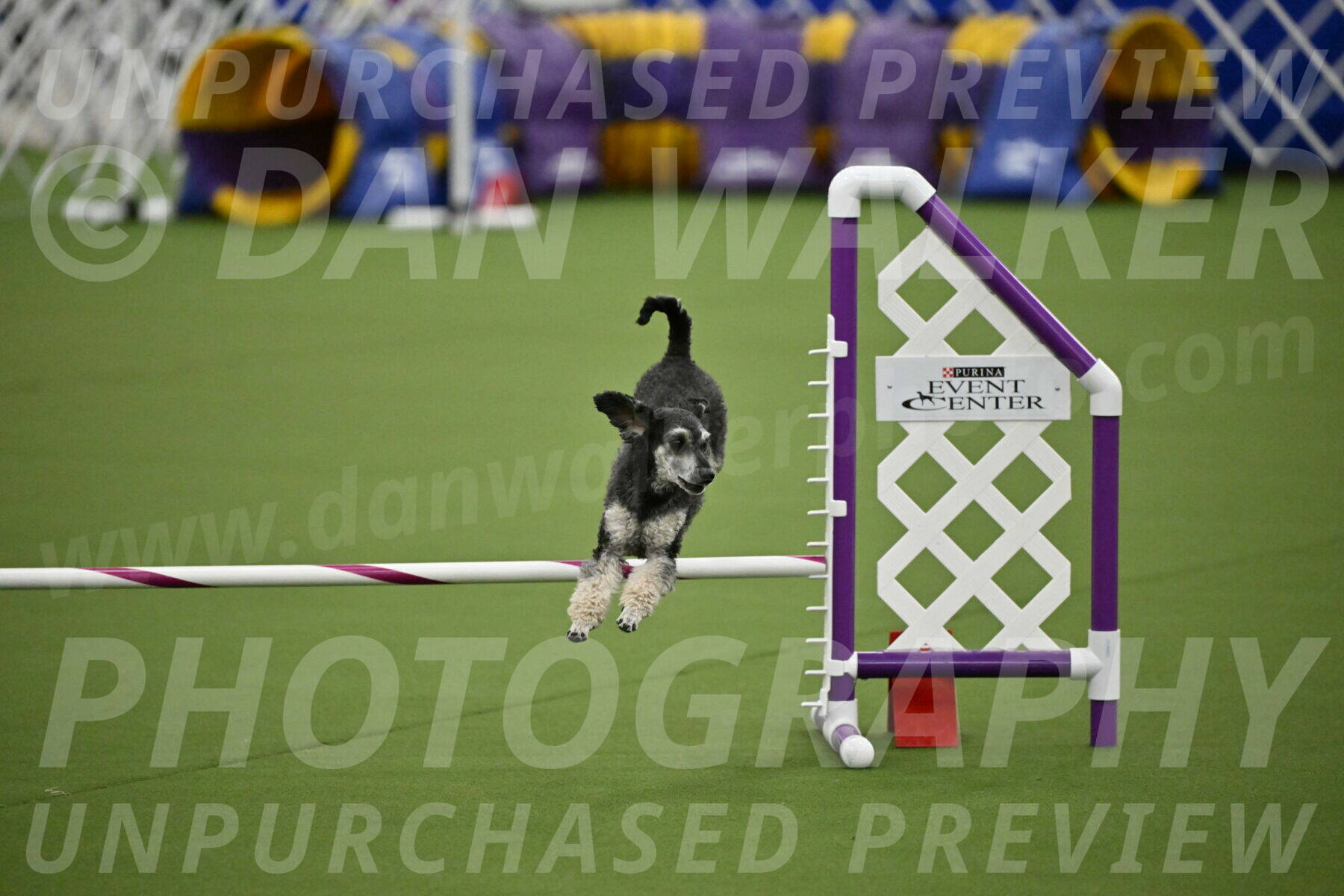 MAS-EX-JWW-12-Inch_0870