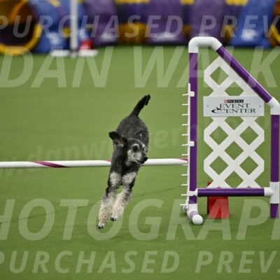 MAS-EX-JWW-12-Inch_0871