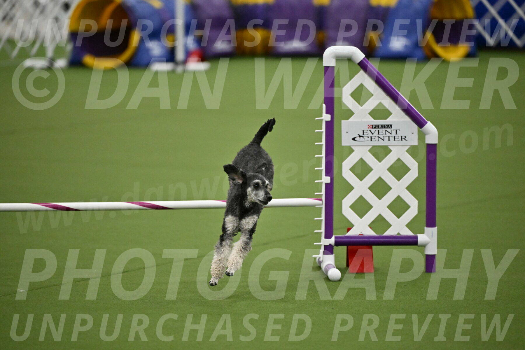 MAS-EX-JWW-12-Inch_0871