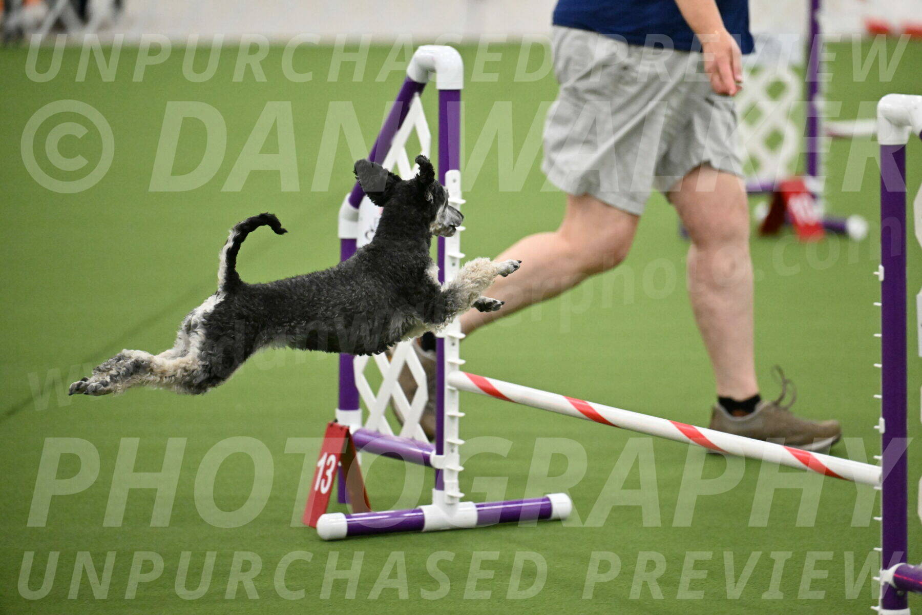 MAS-EX-JWW-12-Inch_0876