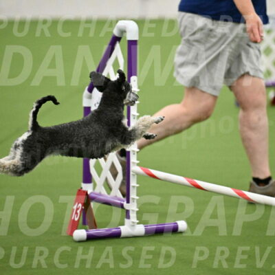 MAS-EX-JWW-12-Inch_0876