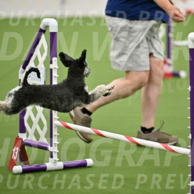 MAS-EX-JWW-12-Inch_0877