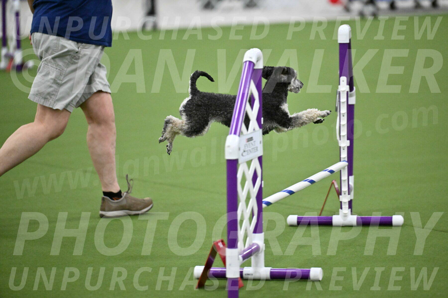 MAS-EX-JWW-12-Inch_0883