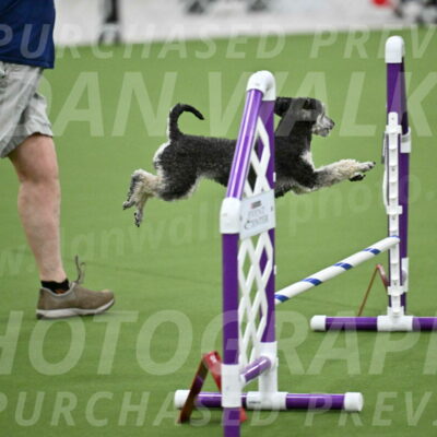 MAS-EX-JWW-12-Inch_0883