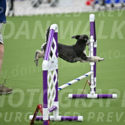 MAS-EX-JWW-12-Inch_0884