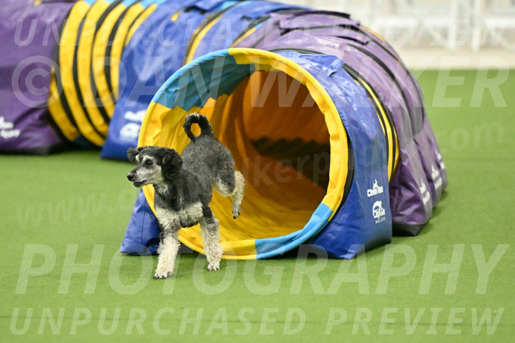 MAS-EX-JWW-12-Inch_0889