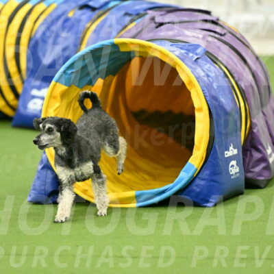 MAS-EX-JWW-12-Inch_0889