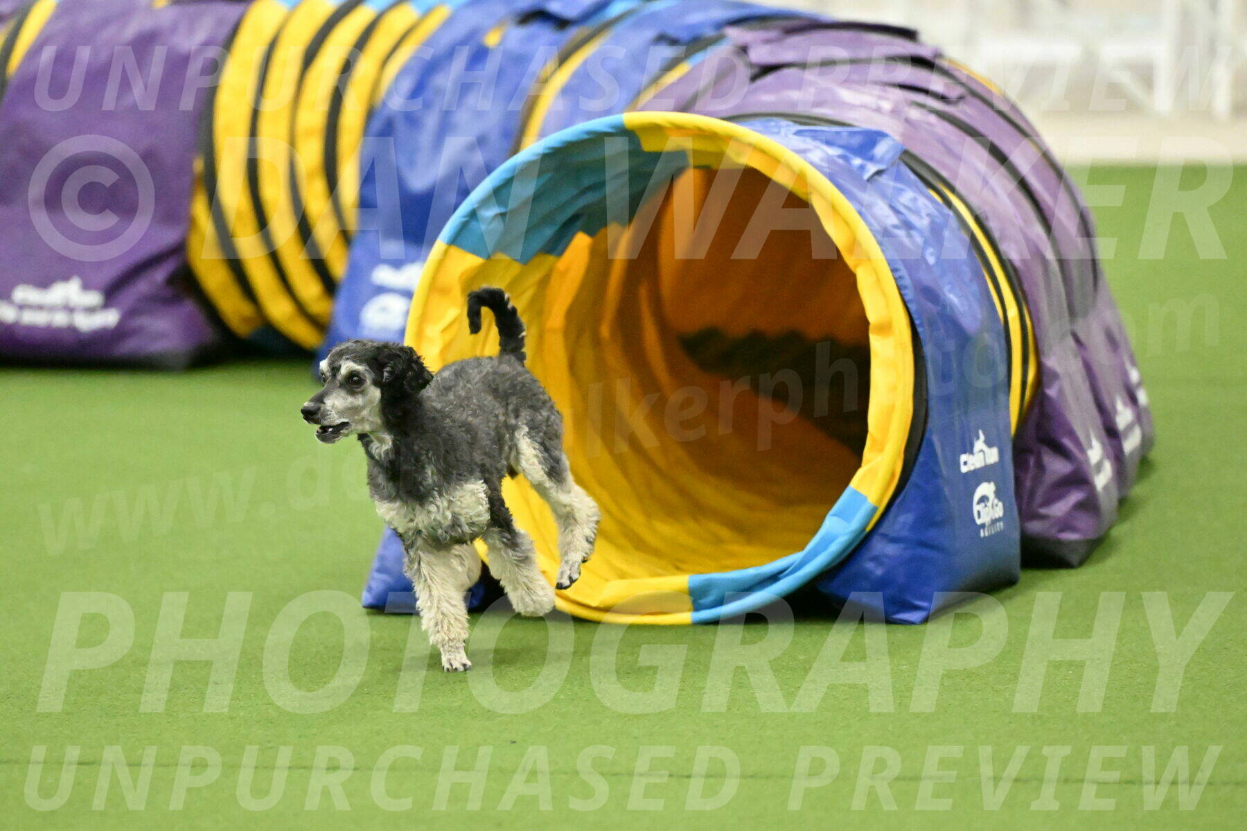 MAS-EX-JWW-12-Inch_0890