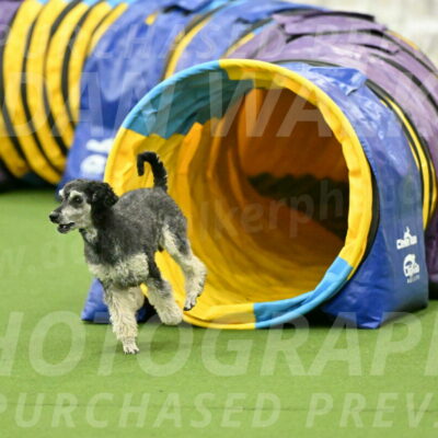 MAS-EX-JWW-12-Inch_0890