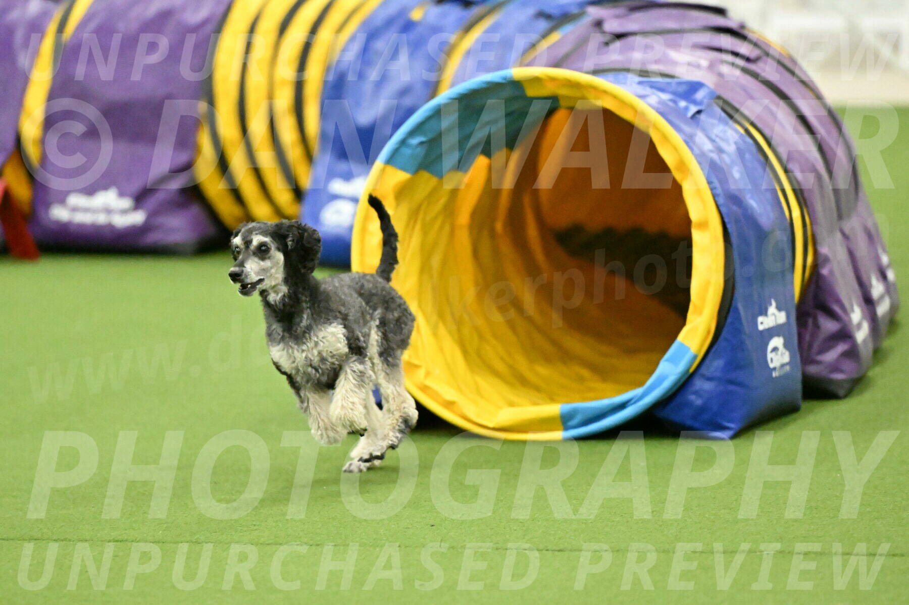 MAS-EX-JWW-12-Inch_0891