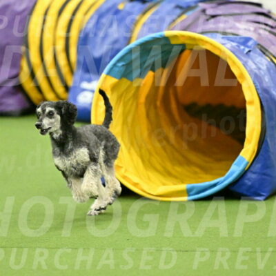 MAS-EX-JWW-12-Inch_0891