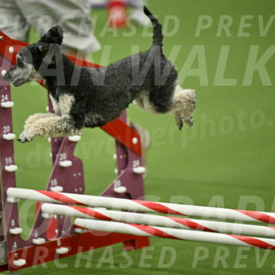 MAS-EX-JWW-12-Inch_0905