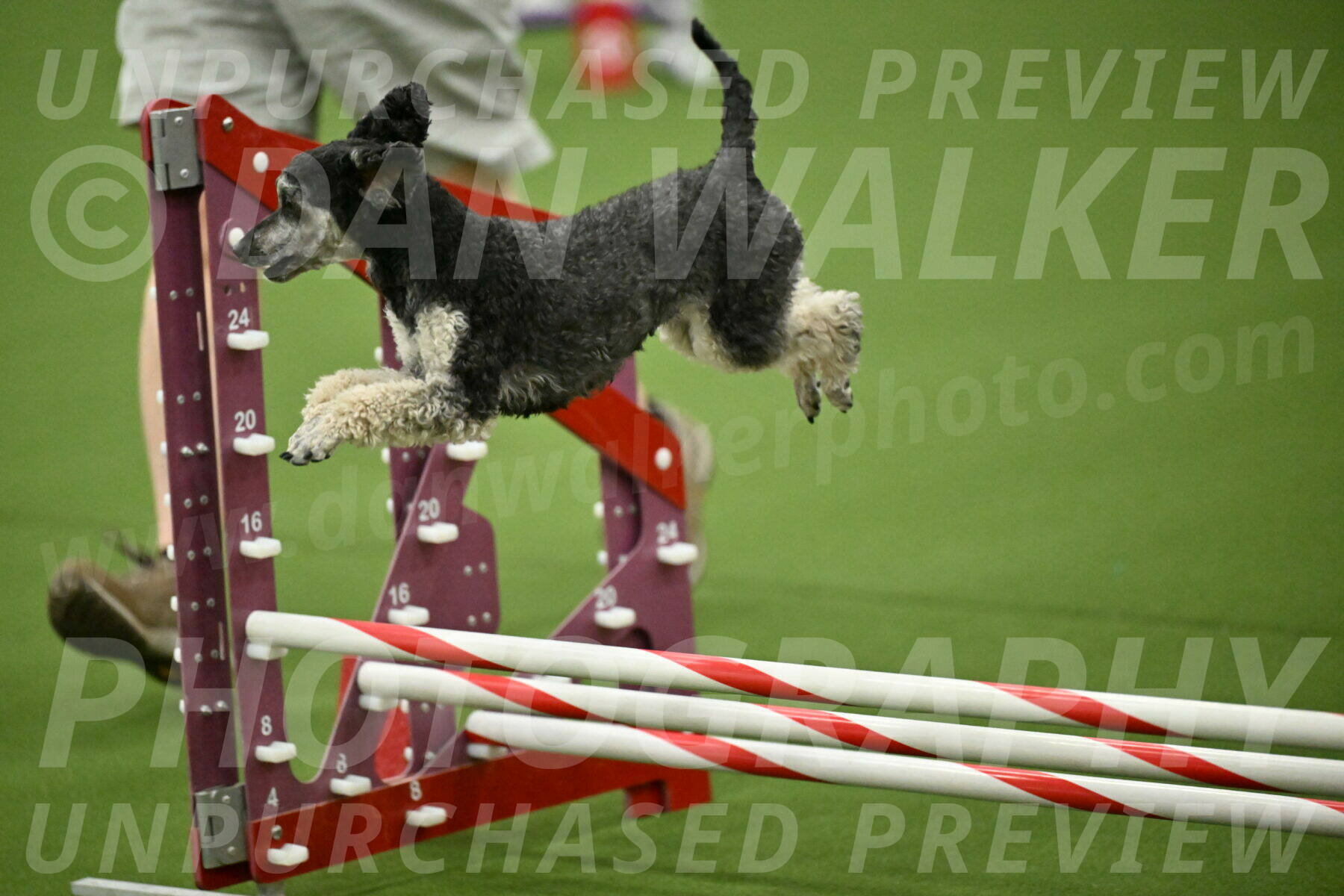 MAS-EX-JWW-12-Inch_0905