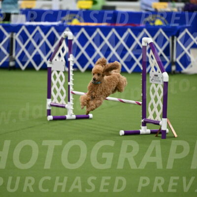 MAS-EX-JWW-12-Inch_0912