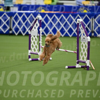 MAS-EX-JWW-12-Inch_0913