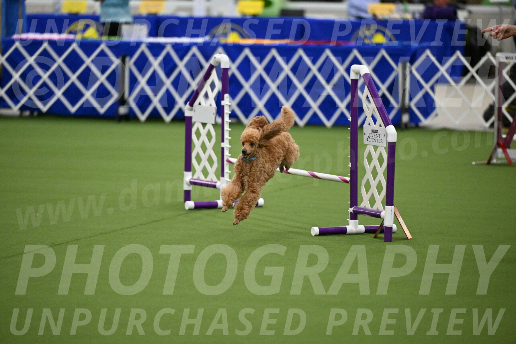 MAS-EX-JWW-12-Inch_0913