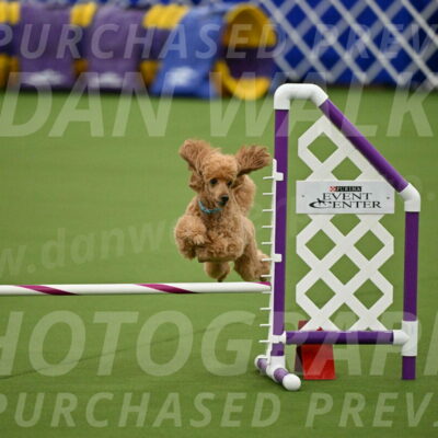 MAS-EX-JWW-12-Inch_0918