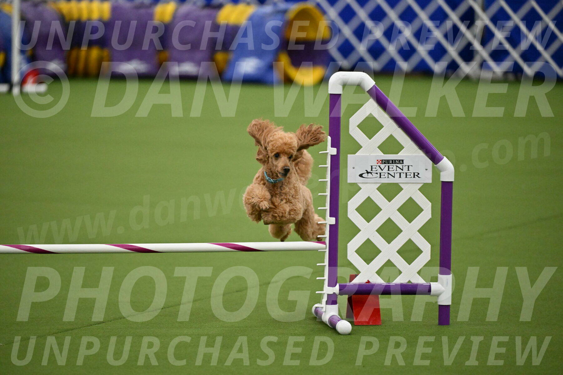 MAS-EX-JWW-12-Inch_0918